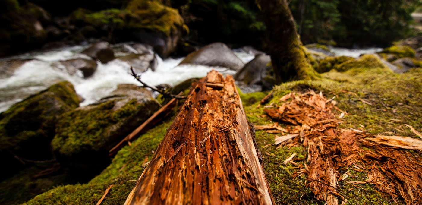 Pemberton Photography
